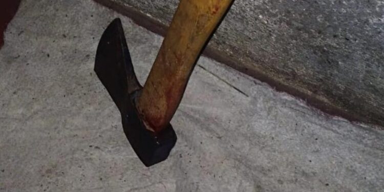 Padre e hijo mataron a hachazos a dos ladrones durante entradera