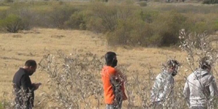 Macabro: encuentran cadáver de hombre empalado en una casa abandonada
