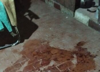 Goya: Un hombre molió a golpes a su madre y la dejó internada