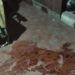 Goya: Un hombre molió a golpes a su madre y la dejó internada
