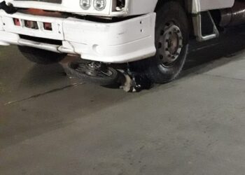 Siniestro fatal: murió un motociclista chocado por un camión en Corrientes
