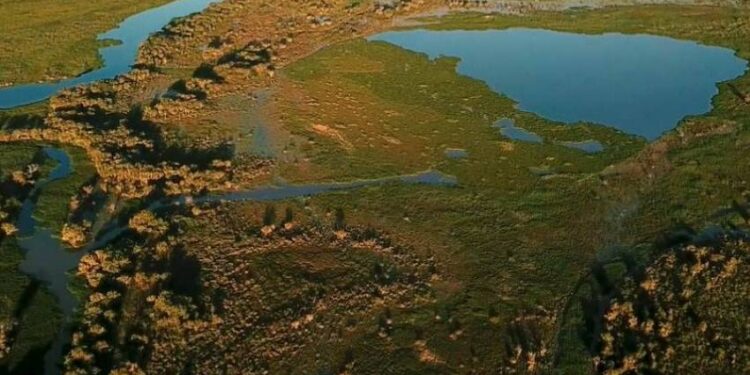 Goya cada vez más cerca de la reserva natural del Isoró