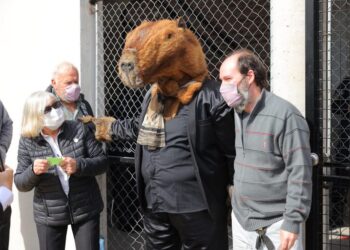 Paso 2021 insólitas: un hombre fue disfrazado de carpincho