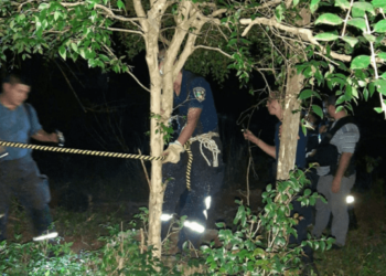 Corrientes: hallan muerta a una chica de 15 años en el patio de su casa