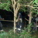Corrientes: hallan muerta a una chica de 15 años en el patio de su casa