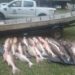 Prefectura decomisó una carga millonaria de pescado en Corrientes