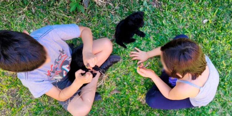 Córdoba: perdió a su mamá y la familia de su amigo del colegio le dio un hogar