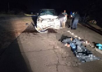 Corrientes: un hombre de 62 años murió tras chocar con una camioneta