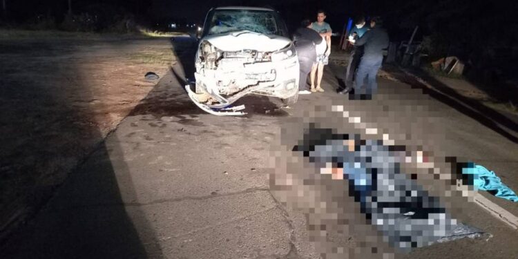 Corrientes: un hombre de 62 años murió tras chocar con una camioneta