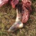 Bella Vista: encontraron una pierna humana en la calle