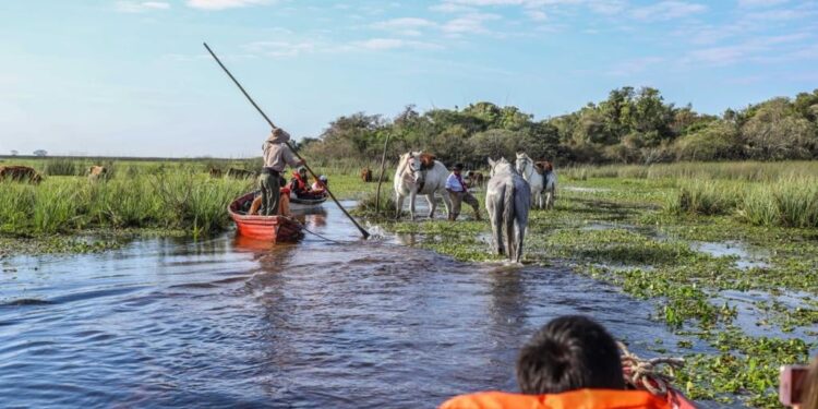 Es Ley la ampliación de superficie del Parque Provincial Iberá