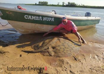 Esquina: pescaron una monstruosa raya y la devolvieron al río
