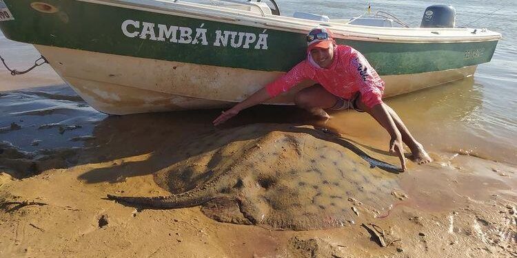 Esquina: pescaron una monstruosa raya y la devolvieron al río