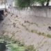 Salta: escucharon gritos en un canal, bajaron y encontraron una orgía