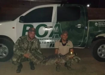 Chaco: una mujer se encontró con un yacaré dentro dentro de su casa
