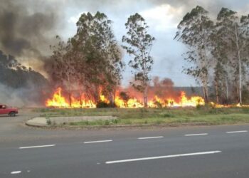 Santa Lucía: hombre murió calcinado en incendio de un campo