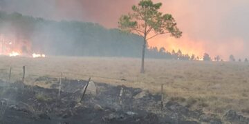 Hasta las lágrimas: empresario correntino relata el gran incendio de origen intencional que sufrió su paraje