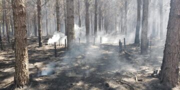 El gobernador Valdés declaró la Emergencia Ígnea en todo el territorio provincial