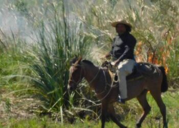 Goya: prendió fuego a un campo y quedó filmado