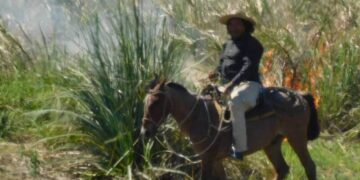 Goya: prendió fuego a un campo y quedó filmado