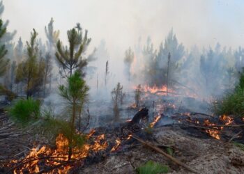 Una chispa de un tractor habría originado el incendio en los Esteros del Iberá