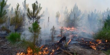 Una chispa de un tractor habría originado el incendio en los Esteros del Iberá