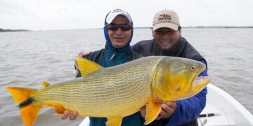 Vuelve la Pesca del Dorado a Paso de la Patria
