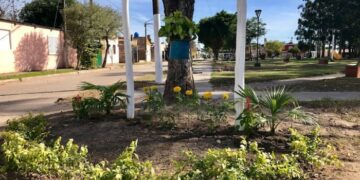 Goya: depravado se masturbó frente a una nena ofreciéndole caramelos