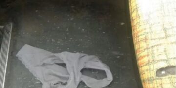 Flechazo en el colectivo: le dejó su bombacha al chofer