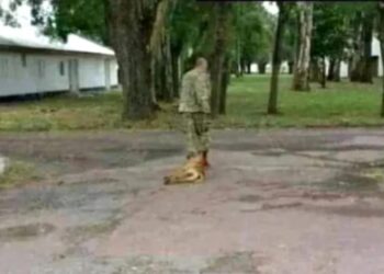 “El ejército no lo contuvo”, dijo el amigo del suboficial acusado de maltrato animal