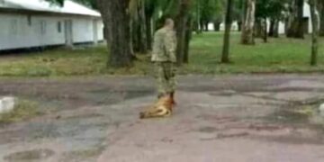 “El ejército no lo contuvo”, dijo el amigo del suboficial acusado de maltrato animal