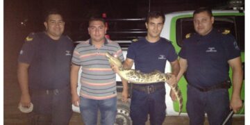 Esquina: una familia encontró un yacaré en su vivienda