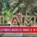 Aparecieron las primeras fotos de Tini Stoessel y Rodrigo juntos