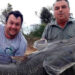 Pescadores sacaron un surubí de 50 kilos en el río Paraná