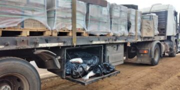 Llevaban contrabando de pescados ocultos en un camión