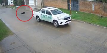 Goya: policías atropellaron intencionalmente a un perro y fueron filmados