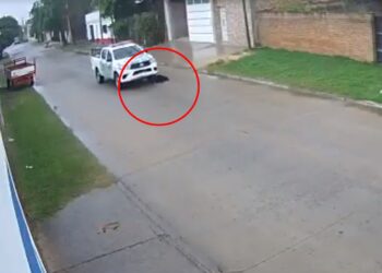 El comunicado de la Policía luego de que un agente haya atropellado a un perro