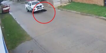 El comunicado de la Policía luego de que un agente haya atropellado a un perro