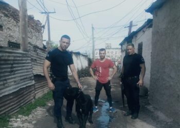 La policía de Corrientes recuperó un perro de 1.800 euros