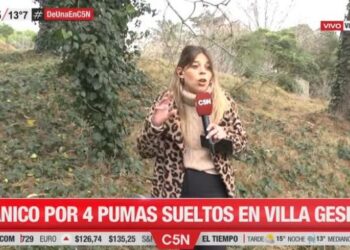 Una periodista de C5N se volvió viral por un inoportuno look