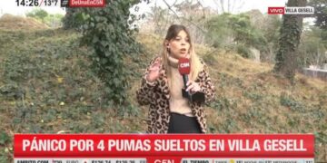 Una periodista de C5N se volvió viral por un inoportuno look