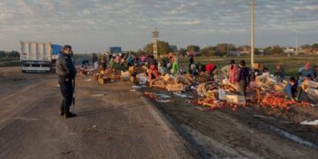 Volcó un camión que transportaba tomates y los vecinos lo saquearon
