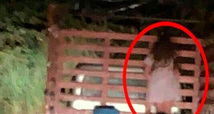 Viajaba por la ruta y captó a una “nena fantasma” colgada de un camión