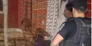Corrientes: intentó robar en una casa y quedó enganchado por el portón
