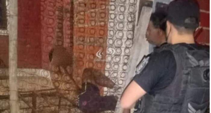 Corrientes: intentó robar en una casa y quedó enganchado por el portón