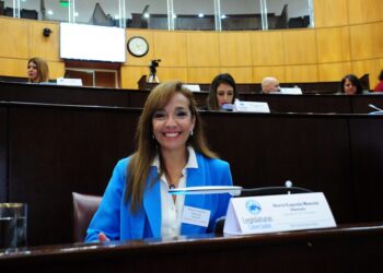 Mancini representó a Corrientes en la Comisión Federal de Cambio Climático