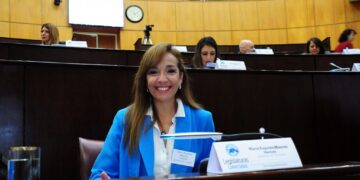 Mancini representó a Corrientes en la Comisión Federal de Cambio Climático