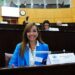 Mancini representó a Corrientes en la Comisión Federal de Cambio Climático