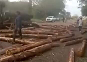 Esquina: Volcó un camión que transportaba postes sobre ruta 12