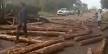 Esquina: Volcó un camión que transportaba postes sobre ruta 12